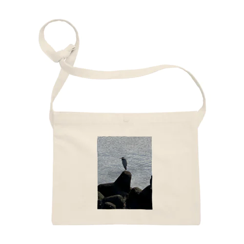 テトラポッドに立つ鳥 Sacoche