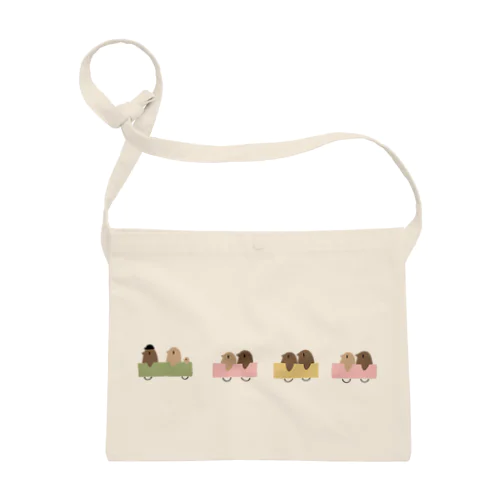 ペンギンバスカラフル Sacoche