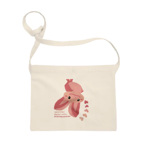 ウサギコウモリ Sacoche