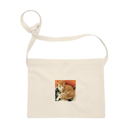 まるっとねこリンツ Sacoche