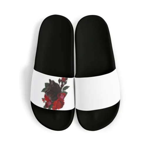 猫と薔薇（文字なし） Sandals