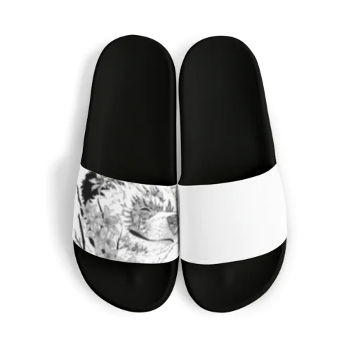 サモエドさくら（ヒルシュ風） Sandals