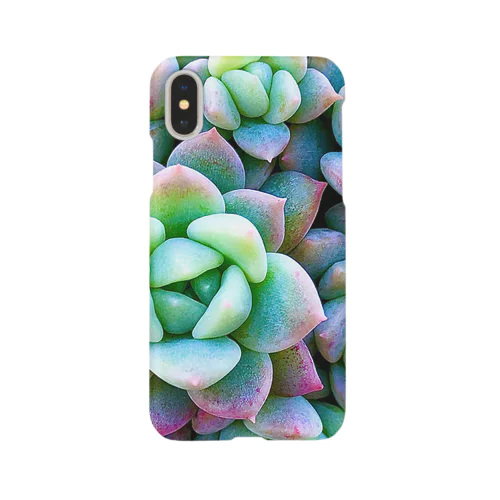 多肉沼スマホケース iPhone Smartphone Case