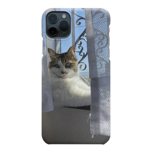 日向ぼっこするゆうくん iPhone Smartphone Case