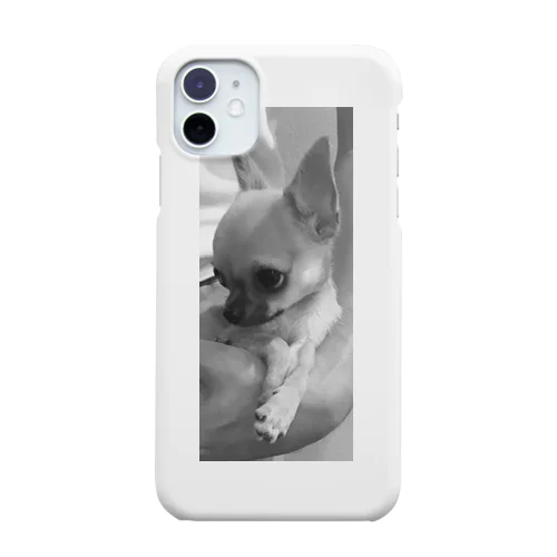 上目づかいパピコさん iPhone Smartphone Case