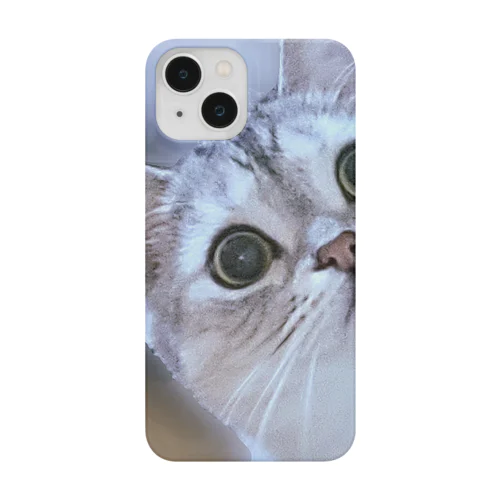 猫の名前はレオ iPhone Smartphone Case