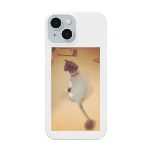 けむけ2 iPhone Smartphone Case