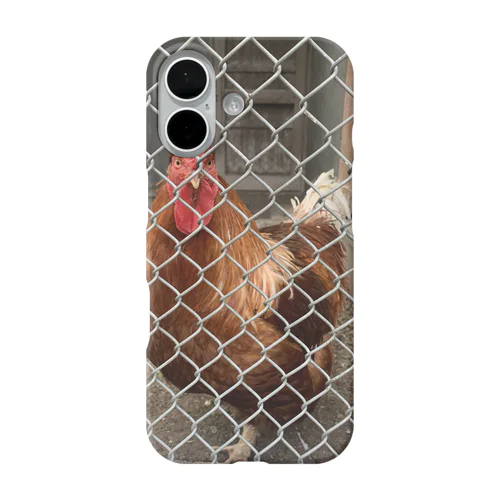 free bird!!! iPhone Smartphone Case