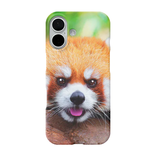 キュートなレッサーパンダちゃん♪ iPhone Smartphone Case
