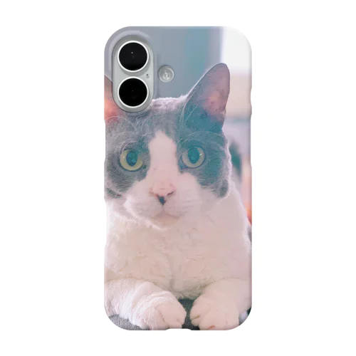 猫毛団のぽんちゃん iPhone Smartphone Case