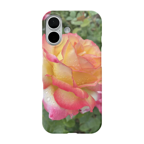 艶やかな薔薇 iPhone Smartphone Case