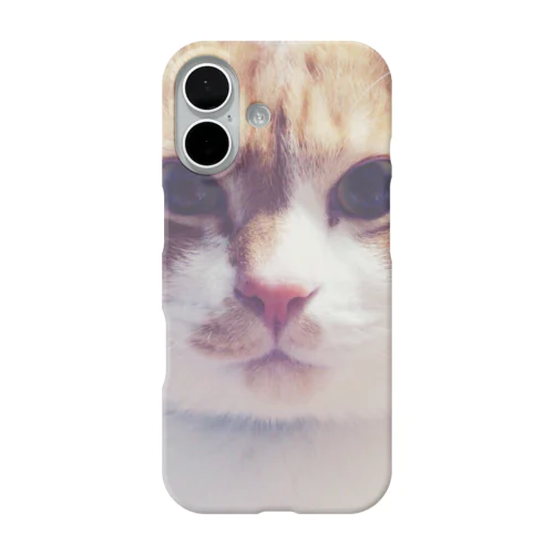 猫の顔面ドアップシリーズ きらら iPhone Smartphone Case