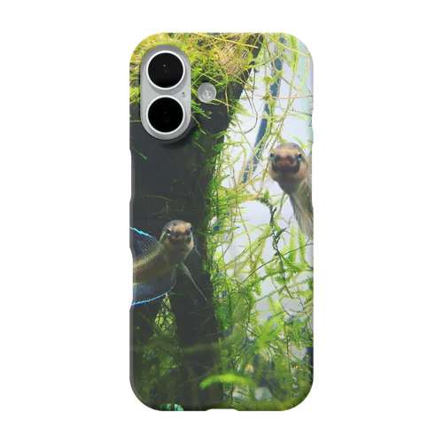 オレん家の魚〜ワイルドベタデニスヨンギー編〜 iPhone Smartphone Case