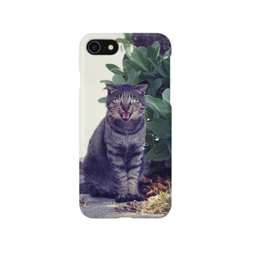 南国猫 iPhone Smartphone Case