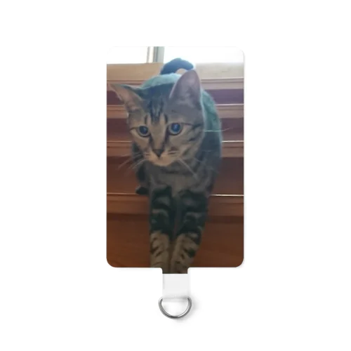 みどりん   ココア Smartphone Strap