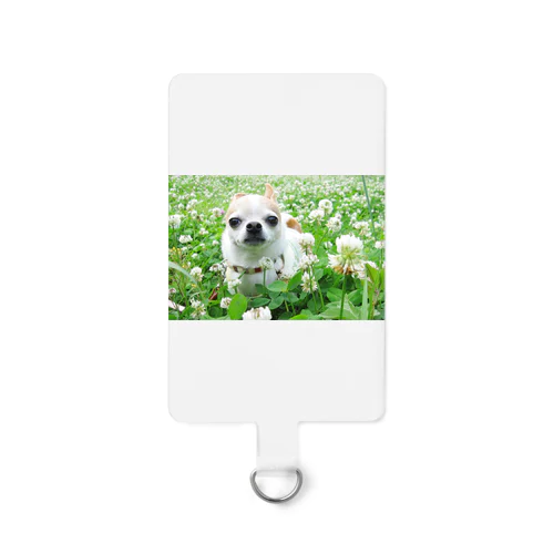 カラフルチワワ（クローバー） Smartphone Strap