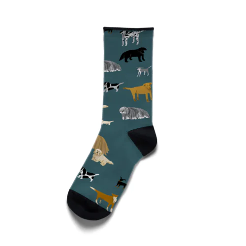 お足元悪い仲 Socks