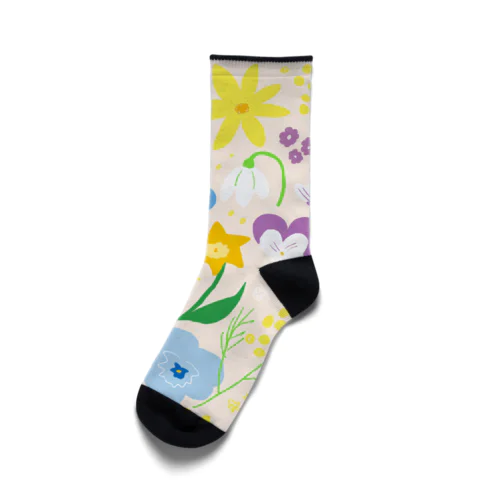 2月の花 Socks