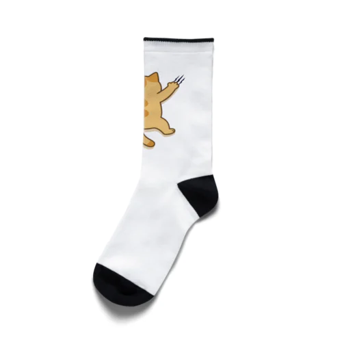 靴下にしがみつくにゃ Socks