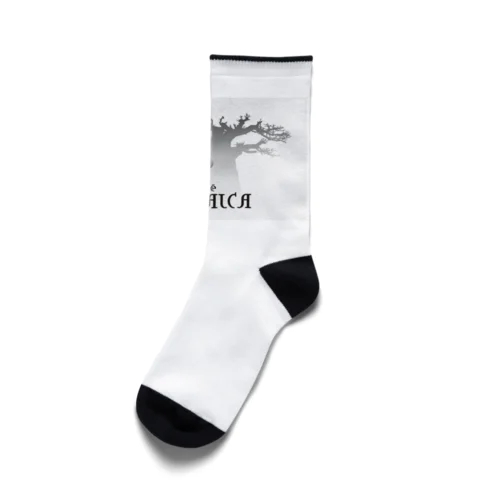 Cafe Jamaica Socks