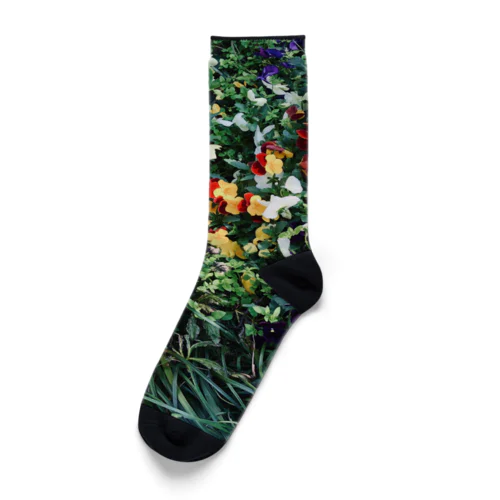 garden Socks