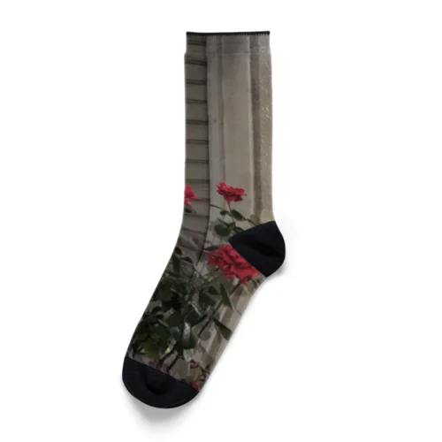 や Socks