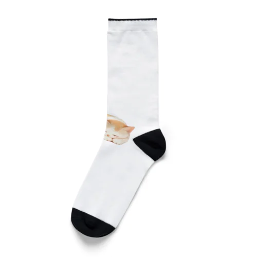 すやすやにゃんこ Socks