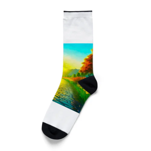 雨に濡れた石畳 Socks