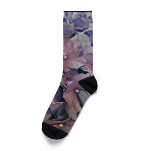 紫陽花のくに Socks
