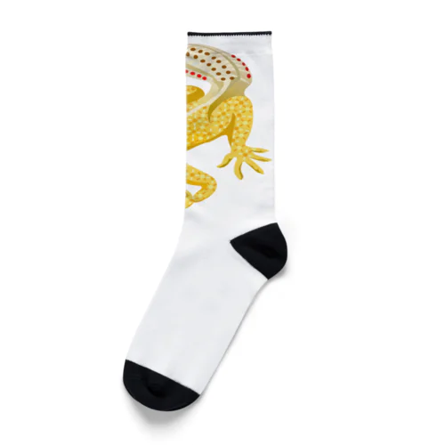 ヒョウモントカゲモドキ。 Socks