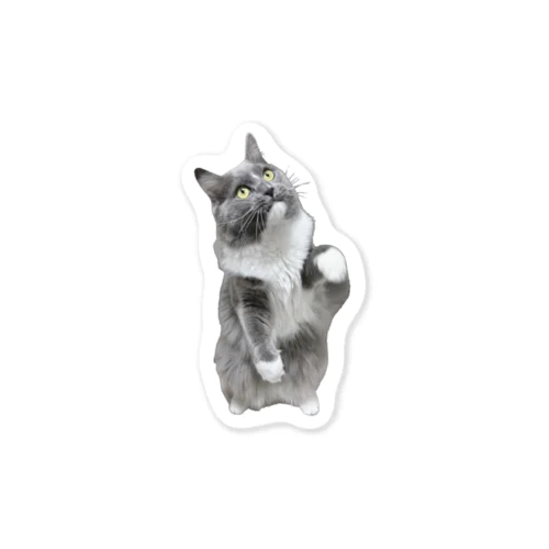 くつしたねこのたび Sticker