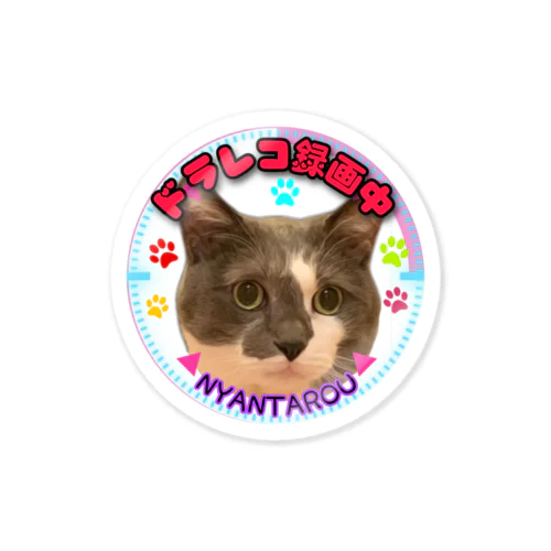 にゃん太郎ドラレコ録画中ステッカー Sticker