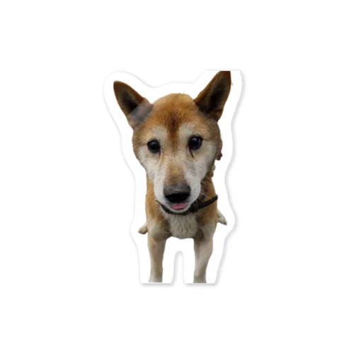 よく見ると舌出てる Sticker