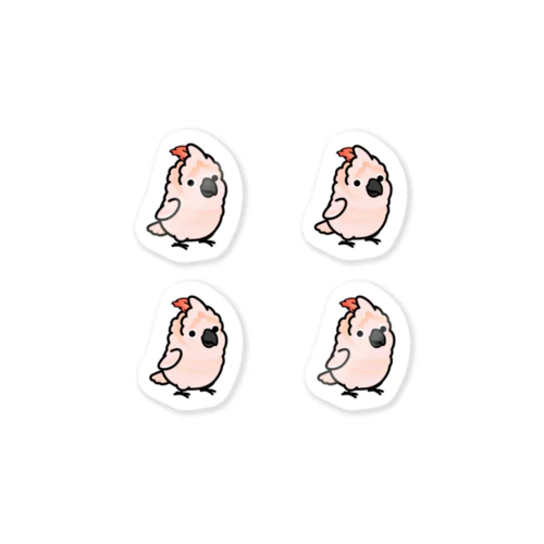  Chubby Bird オオバタン　 Sticker