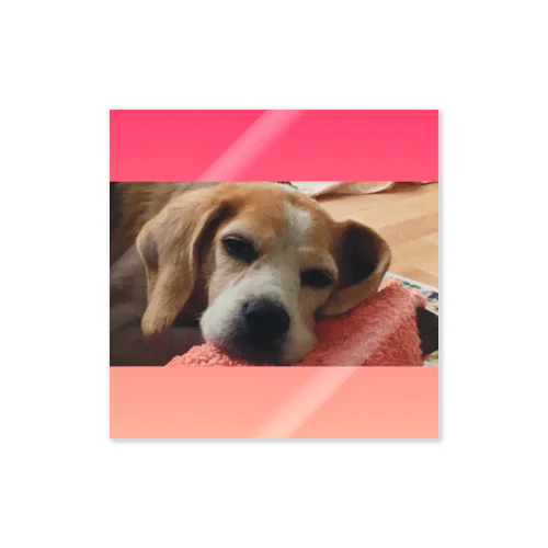 ふて寝ビーグル Sticker