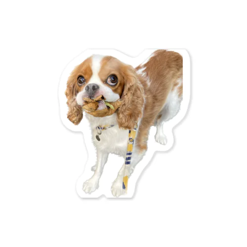 にっこりはっぱあるばーと Sticker