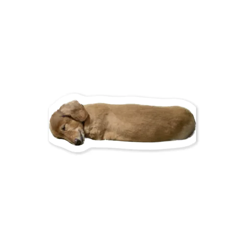 ﾍﾟｯﾂ犬 Sticker