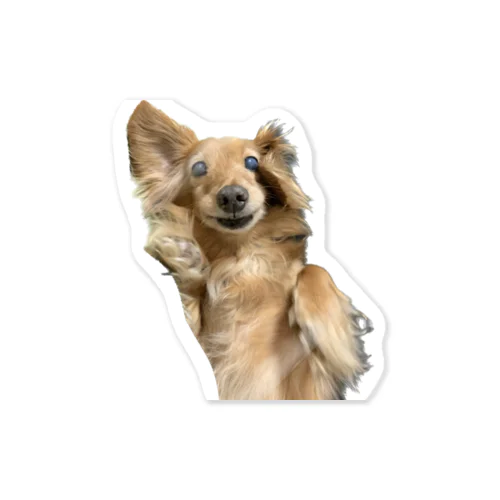 挙手犬 Sticker