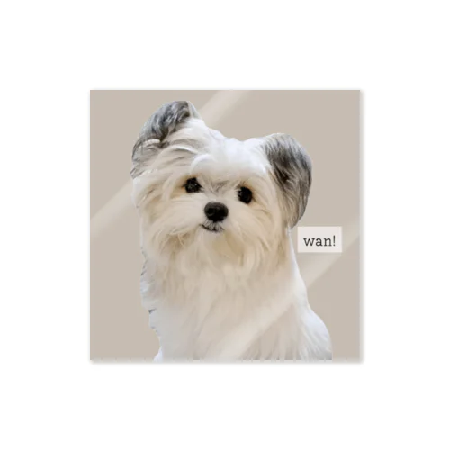 我が家のぷくたん。 Sticker