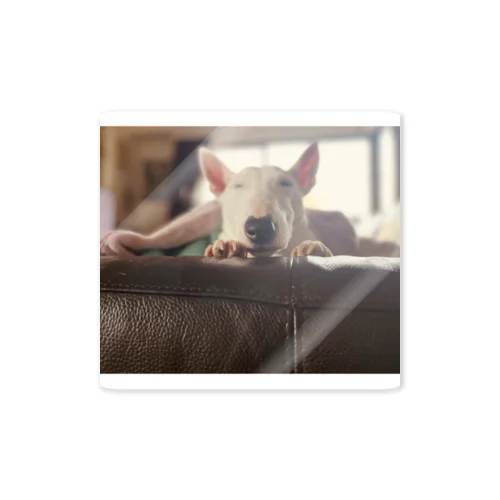 ブルテリアのにきぶう Sticker