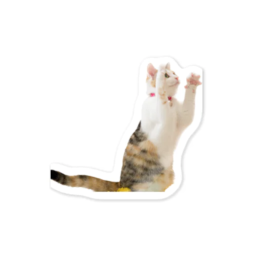 バンザイ　三毛猫 Sticker