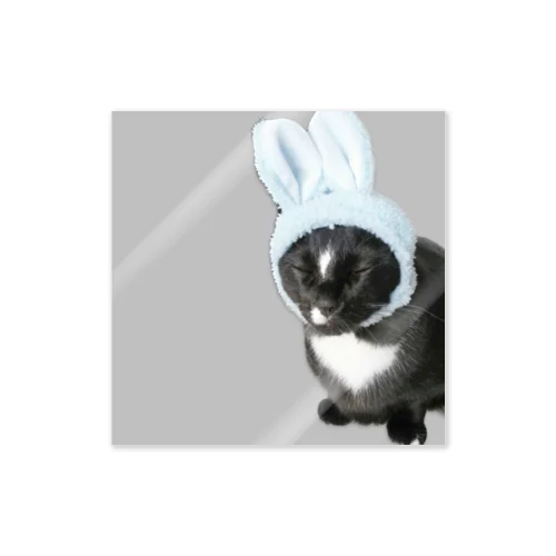愛猫がうさぎになった Sticker