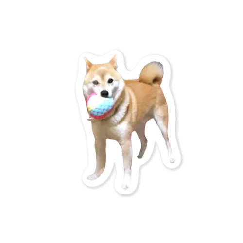 ボールキャッチできておどろく犬 Sticker