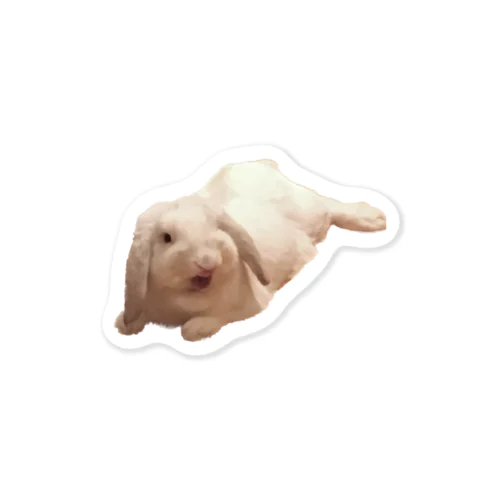 クワッどんちゃん#ロップイヤー#うさぎ#あくび Sticker