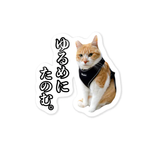 元野良猫チャチャ Sticker