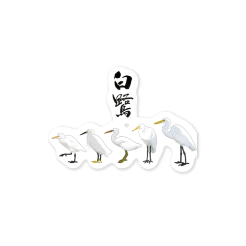 TEAM白鷺 Sticker
