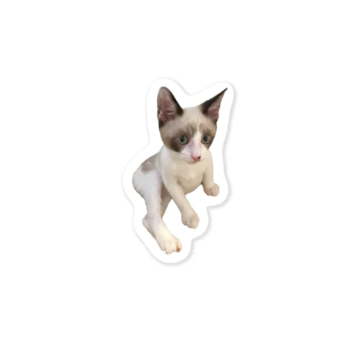 BENIEKO baby Sticker