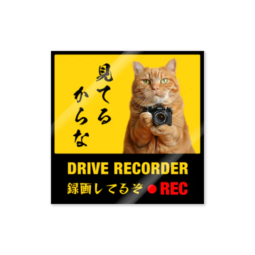 にゃんこ最強道 ( NYANKO-SAIKYODO ) | Online shopping for