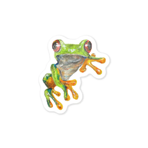 アカメアマガエルステッカー　(アクリル画) Sticker
