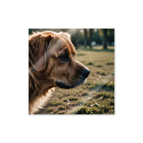 探検している犬の鼻 Sticker